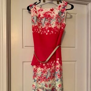 Pink Antonio Melani dress